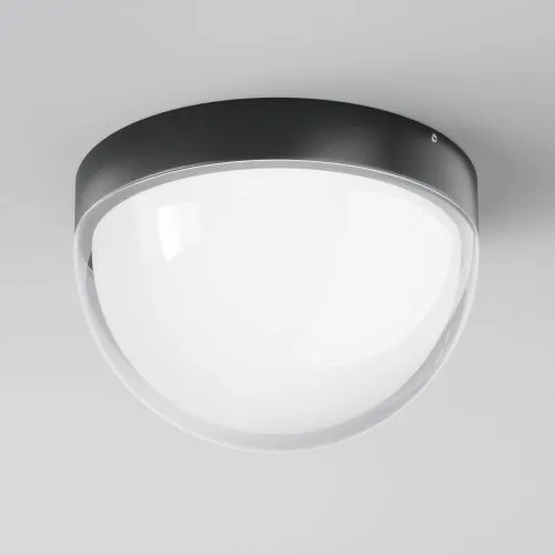 Потолочный светильник Outdoor O438CL-L12GF3K  фото 3